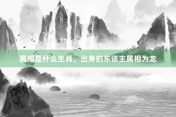 属相是什么生肖，出身的东谈主属相为龙